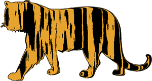 Nor Is My Tiger - Siberian Tiger PNG image with transparent background