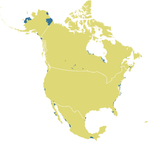 Mexico Map North America, HD Png Download PNG with transparent background