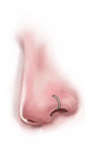 Nosewith Hoop Piercing PNG Image