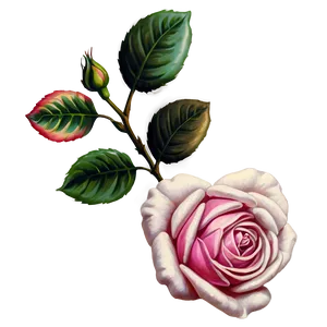 Nostalgic Rose Image Png 60 PNG Image