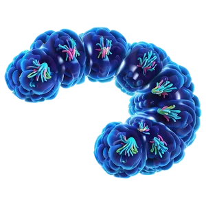 Nucleus With Chromosomes Png Uyd PNG Image