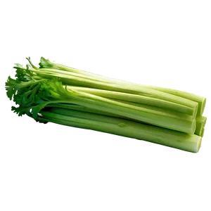 Nutritious Celery Png 68 PNG Image