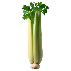 Nutritious Celery Png 90 PNG Image