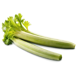 Nutritious Celery Png Uip56 PNG Image