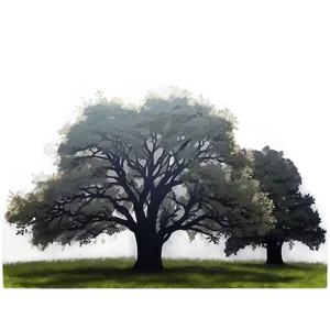 Oak Forest Mist Png 31 PNG Image