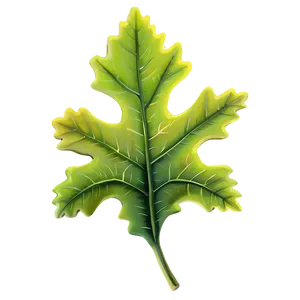 Oak Leaf B PNG Image