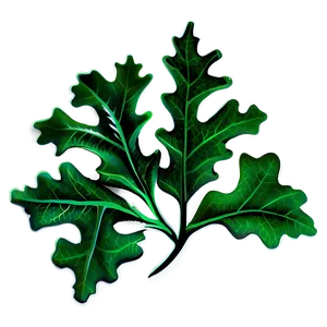 Oak Leaf Border Png 98 PNG Image