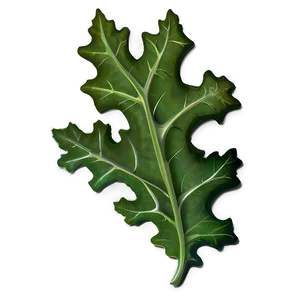 Oak Leaf Border Png Vvy87 PNG Image