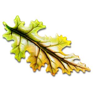 Oak Leaf D PNG Image