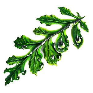 Oak Leaf Dewdrops PNG 84 PNG