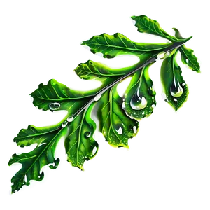 Oak Leaf Dewdrops Png 84 PNG Image
