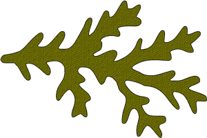 Oak Leaf Graphic Design PNG image with transparent background