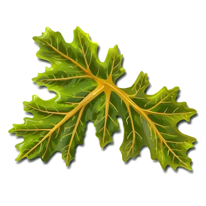 Oak Leaf Illustration Png 06292024 PNG Image