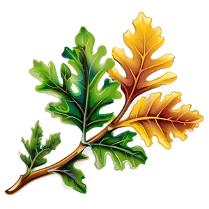 Oak Leaf Vector Png 06292024 PNG Image