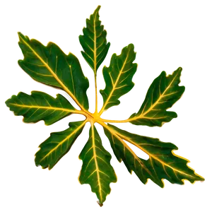 Oak Leaf Veins Png Qyc68 PNG Image