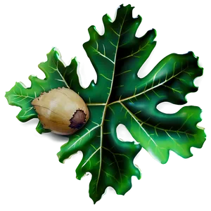 Oak Leaf With Acorn Png 70 PNG Image