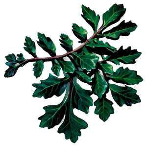 Oak Leaves Cluster PNG dgu PNG with transparent background