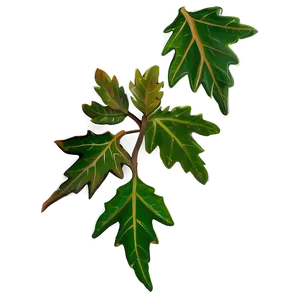 Oak Leaves Cluster Png Kvm38 PNG Image