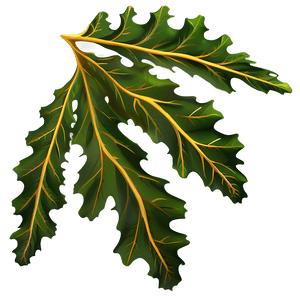 Oak Leaves in Wind PNG goc72 PNG image with transparent background