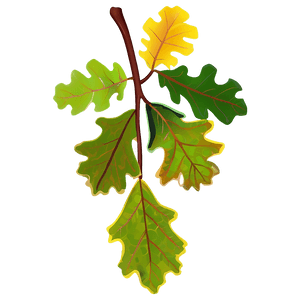 Oak Leaves PNG 05042024 PNG image with transparent background