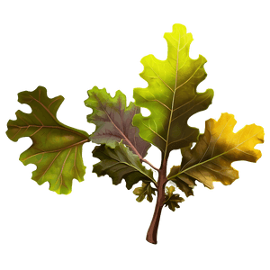 Oak Leaves PNG lqb19 PNG image with transparent background