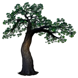 Oak Tree At Dawn Png 06262024 PNG Image