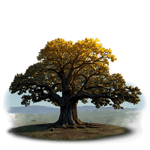 Oak Tree at Dawn PNG 06262024 PNG image with transparent background
