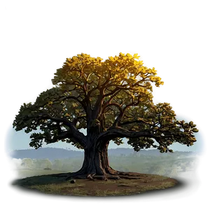 Oak Tree At Dawn Png 06262024 PNG Image
