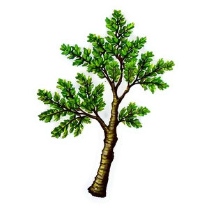 Oak Tree Branch Png 06262024 PNG Image