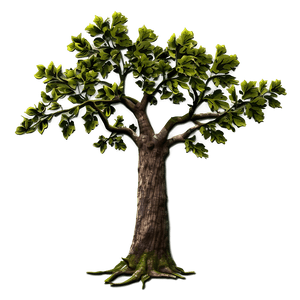 Oak Tree Branch PNG wmx74 PNG with transparent background