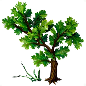 Oak Tree Branches Png 06282024 PNG Image