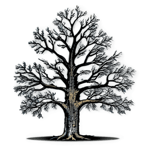 Oak Tree Moonlight PNG 17 PNG image with transparent background