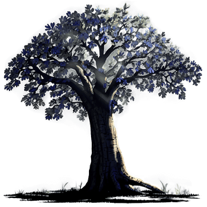 Oak Tree Shadow PNG 59 PNG with transparent background