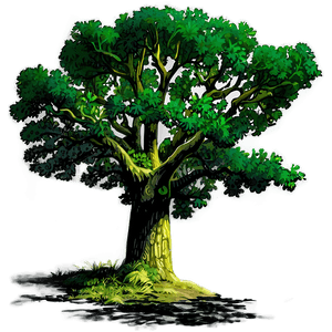Oak Tree Shadow PNG ojg PNG with transparent background
