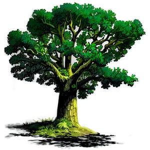 Oak Tree Shadow Png Ojg PNG Image