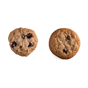Oatmeal Raisin Cookie Png 05042024 PNG Image