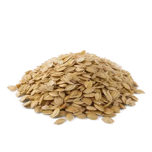 Oats And Seeds Png 67 PNG Image