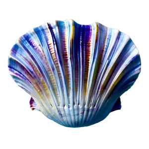 Ocean Clam Shell Png 52 PNG Image