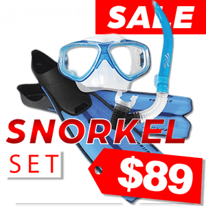 Diving Mask, HD Png Download PNG image with transparent background