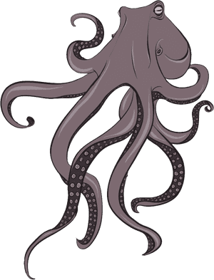 Octopus Png, Download Png Image With Transparent Background, - Octopus Art Png, Png Download PNG image with transparent background