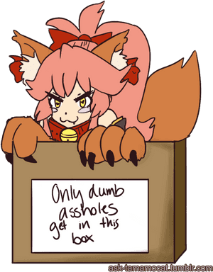 Oh No Wann Tamamo Cat Ate So Much Food On Thanksgiving - Fate Grand Order Tamamo Memes, HD Png Download PNG image with transparent background