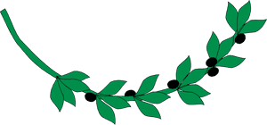 Plant,flora,leaf - Ancient Greece Olive Branch, HD Png Download PNG with transparent background