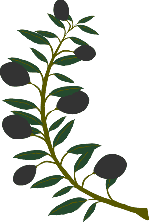 Olive Branch Png Free, Transparent Png PNG image with transparent background