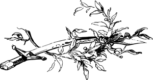 Art,monochrome Photography,monochrome - Sword And Olive Branch, HD Png Download PNG with transparent background