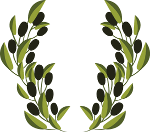 Olive Branch Clip Art - Olive Branch Clipart, HD Png Download PNG with transparent background