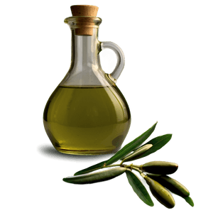 Olive Oil Jug PNG 48 PNG with transparent background