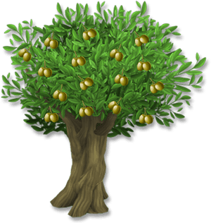 Olive Leaf Tree Clip Art - Olive Tree With Olives Png, Transparent Png PNG with transparent background