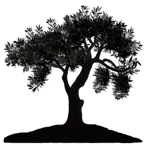 Olive Tree Silhouette PNG 72 PNG image with transparent background