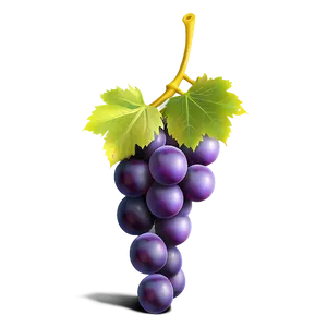 One Grape Icon Png 06292024 PNG Image