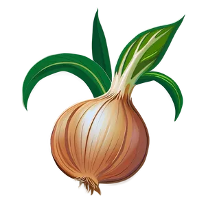 Onion Plant Illustration Png Fpb PNG Image